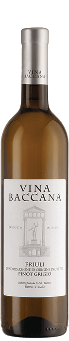 Vina Baccana Pinot Grigio 2023