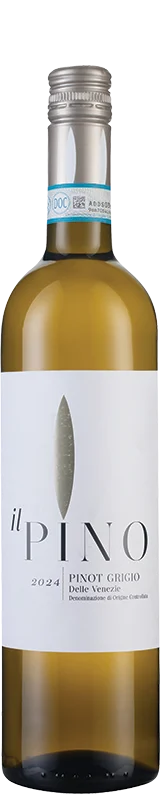 Il Pino Pinot Grigio 2024