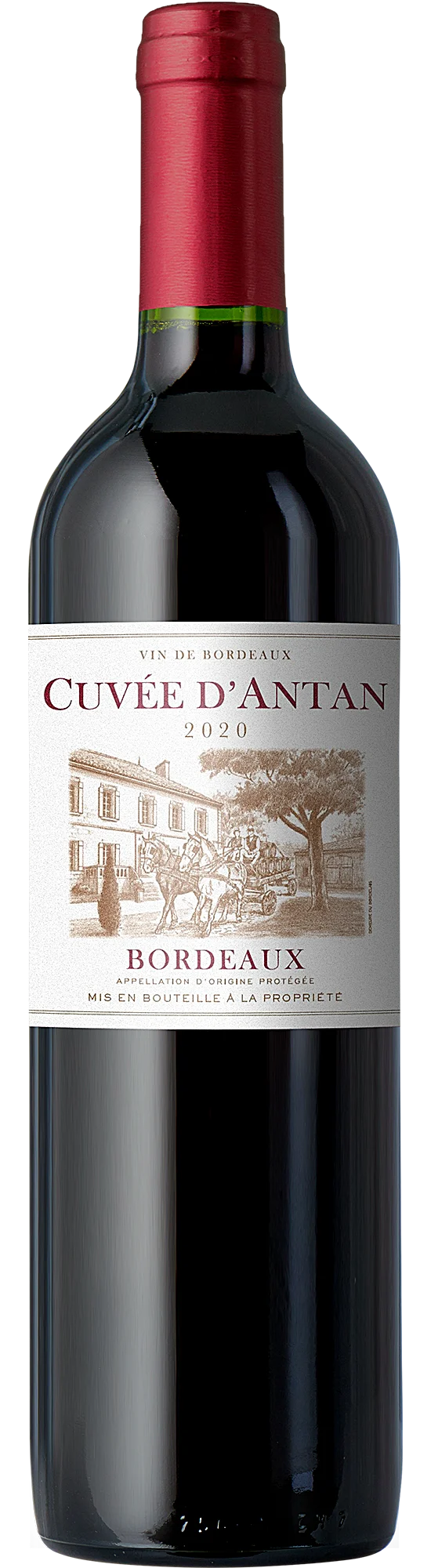 2020 Cuvée d'Antan AOP Bordeaux Rouge