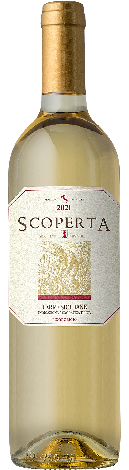 2021 Scoperta Pinot Grigio