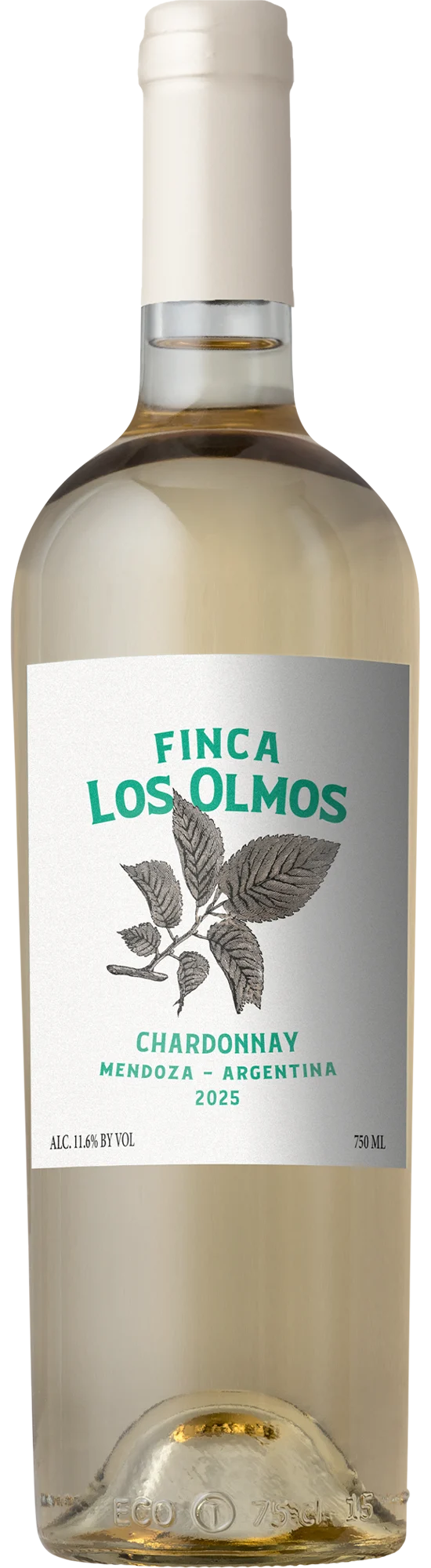 2025 Finca Los Olmos Chardonnay