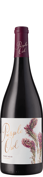 Purple Owl Pinot Noir 2023