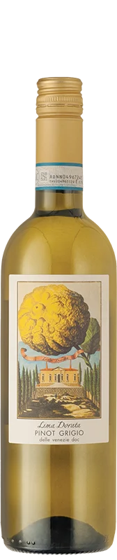 Lima Dorata Pinot Grigio 2024