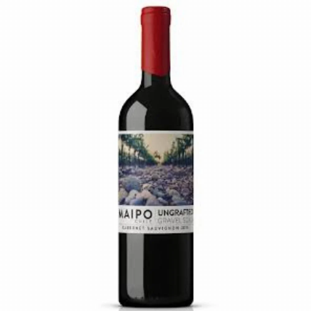 De Martino Ungrafted Gravel Soils Carmenere Maipo Valley 2024 750ml Chile