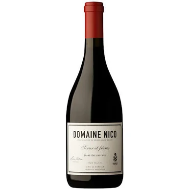 Domaine Nico Grand Pere Mendoza Pinot Noir 2022 Rated 96JS