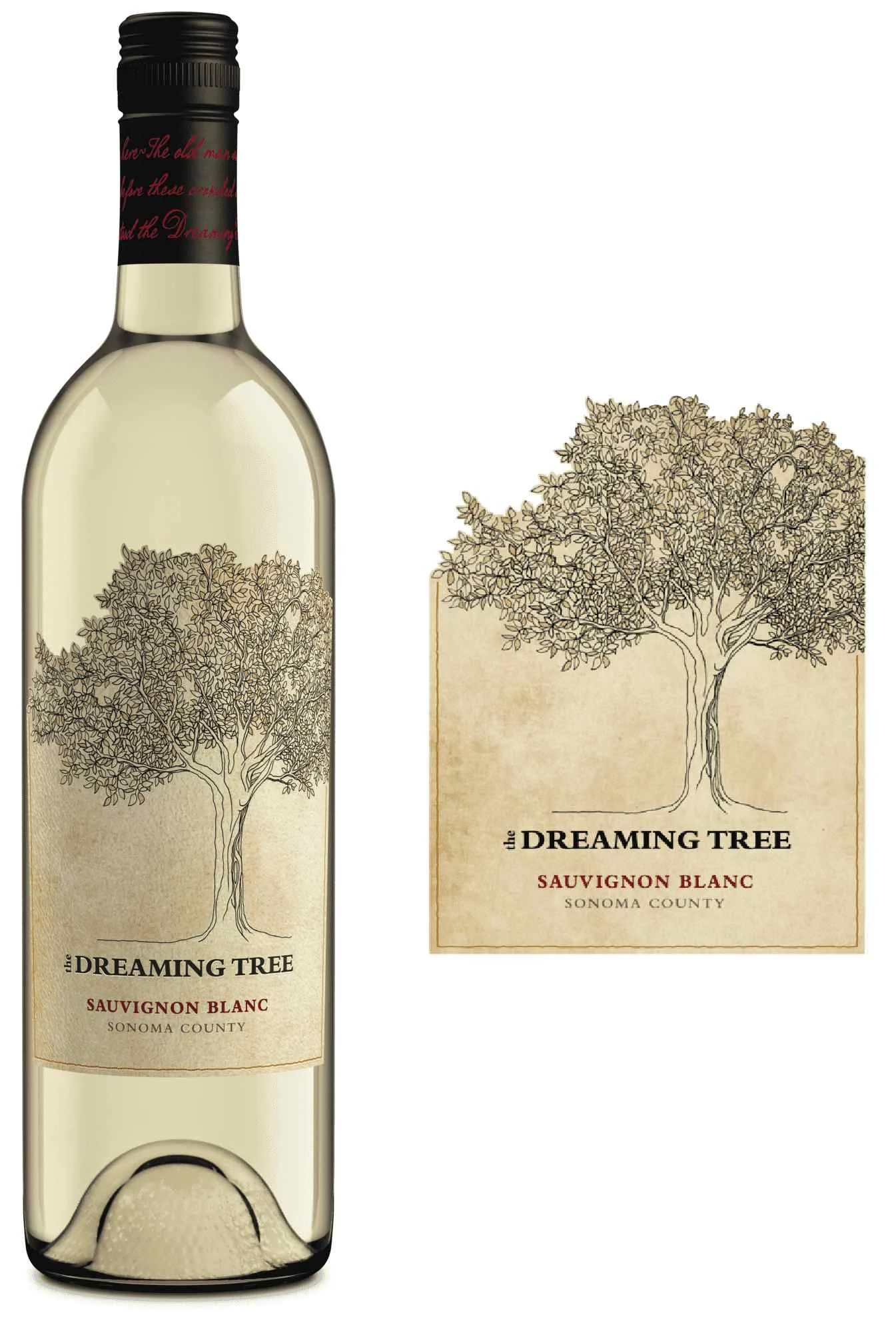 The Dreaming Tree Sauvignon Blanc 2025 (750 ml)