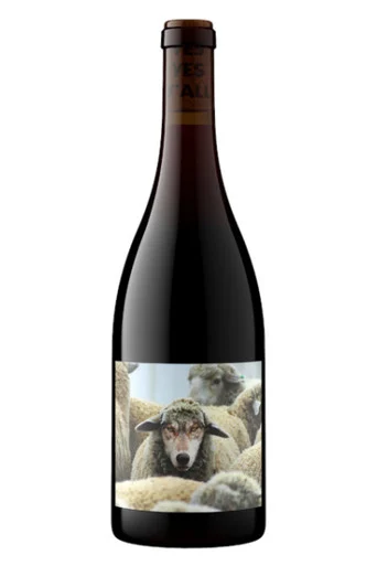 Maison Noir In Sheep's Clothing Pinot Noir