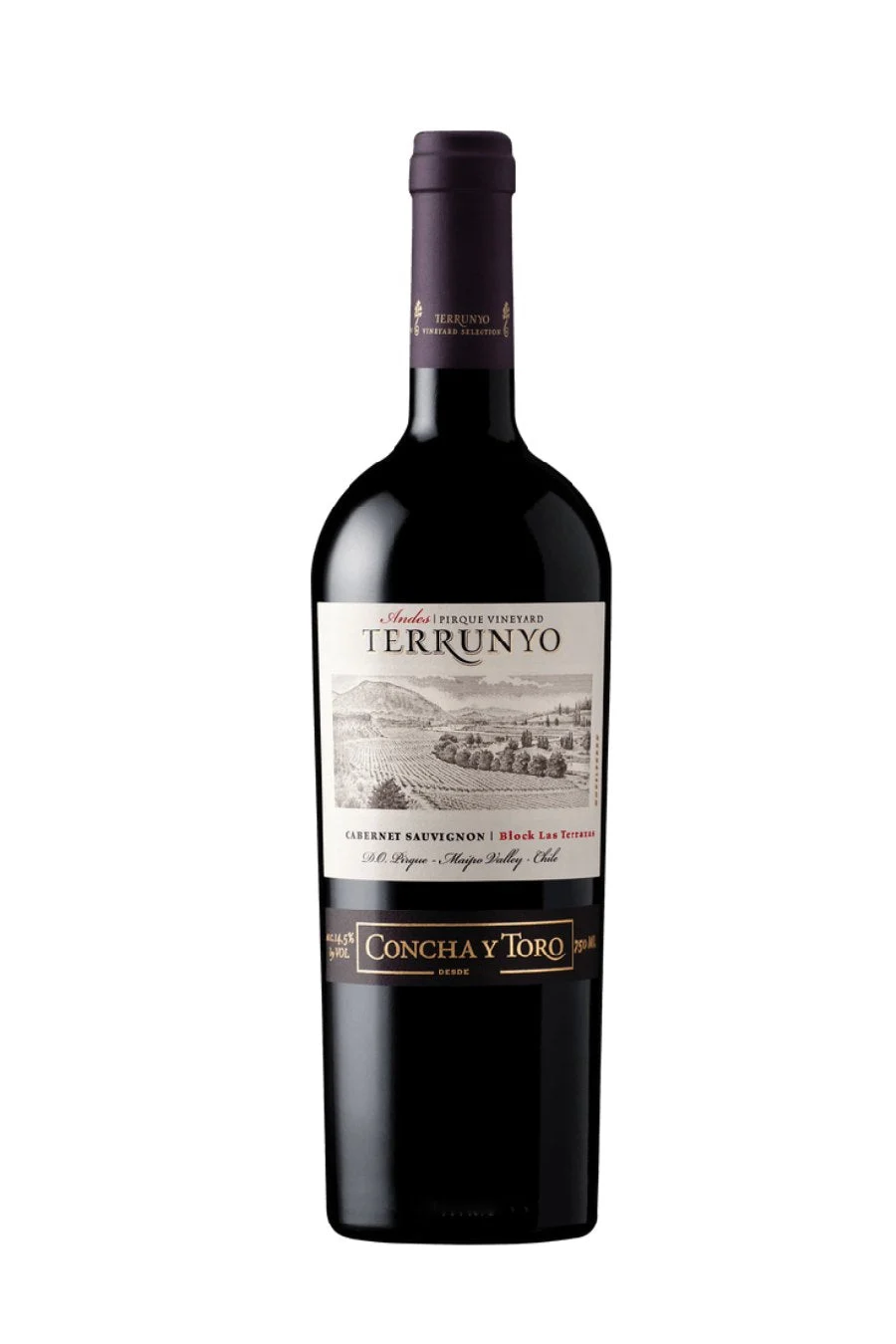 Terrunyo Cabernet Sauvignon 2020 (750 ml)