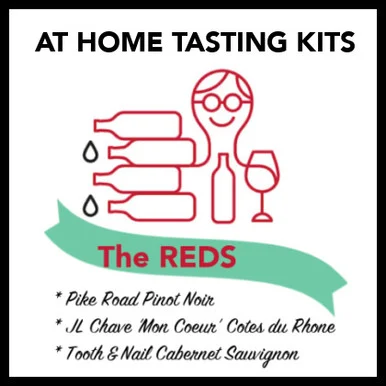 Wine 101 Tasting Kit: Reds